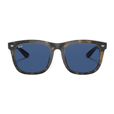 RayBan Sunglasses 0RB4260D 710/80